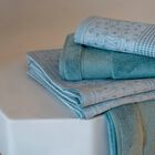 Guest towel Caresse Blue Ice 30x50 100% cotton, , hi-res image number 0