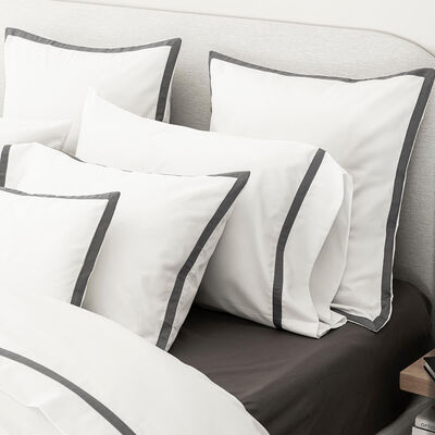 Shams Apparat Cotton