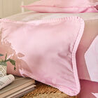 Shams Pois de senteur Pink 30X41 100% cotton, , hi-res image number 0