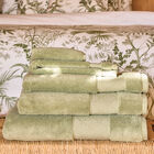 Guest towel Caresse Green 30x50 100% cotton, , hi-res image number 0