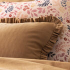 Ruffle Shams Eclat Cotton, , hi-res image number 3