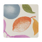 Coasters Arrière-pays Birch, , hi-res image number 4