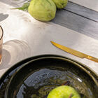 Coated placemat Vegetal mood Beige 50x36 100% cotton, , hi-res image number 1
