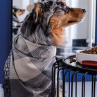 Tea towel Truffes Grey 60x80 100% cotton, , hi-res image number 1