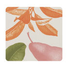 Coasters Arrière-pays Birch, , hi-res image number 3