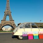 Tea towel Paris Lumi&egrave;re Cotton, , hi-res image number 7