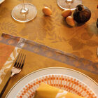 Coated placemat Manor lane Orange 50x36 100% cotton, , hi-res image number 2