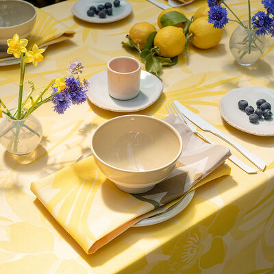 DENTELLE LINEN GRAY Jacquard Woven French Decorative Napkin Set - High  Quality Absorbent Soft Cotton Reversible Elegant Napkins - Table Accent  Home