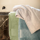 Guest towel Caresse Green 30x50 100% cotton, , hi-res image number 0