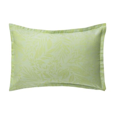 Shams Charmilles Cotton