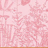 Tea towel Blooming Cotton, , swatch