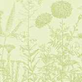 Tea towel Blooming Cotton, , swatch