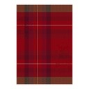 Hand towel Hiver en Ecosse Cotton, , swatch