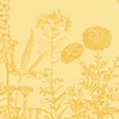 Tea towel Blooming Cotton, , swatch