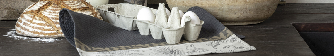 banner-image