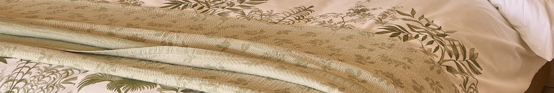banner-image